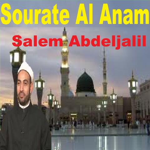 Sourate Al Anam