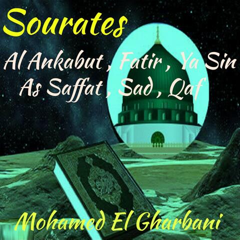 Sourates Al Ankabut , Fatir , Ya Sin , As Saffat , Sad , Qaf