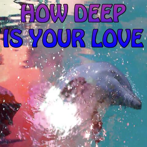 How Deep Is Your Love - Tribute to Calvin Harris and Disciples