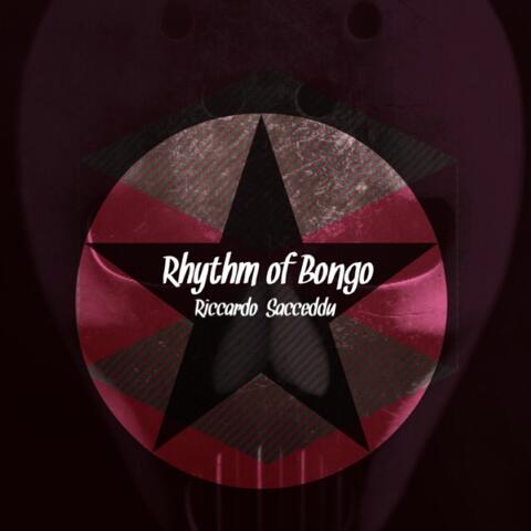 Rhythm of Bongo