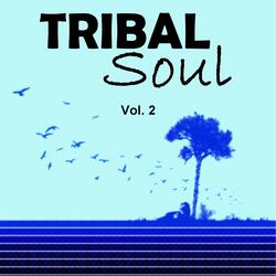 Tribal Soul