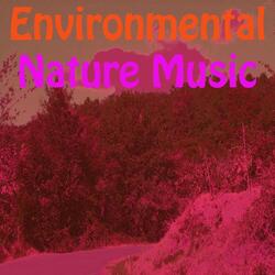 Environmental Nature Music, Vol. 12