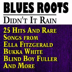 Mule Blues