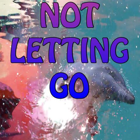 Not Letting Go - Tribute to Tinie Tempah and Jess Glynne