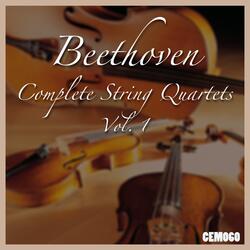 String Quartet No. 1 in F Major, Op. 18 No. 1: IV. Allegro