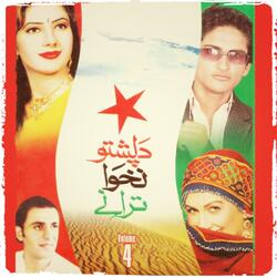 Ta Pukhtoon Za Pukhtoon