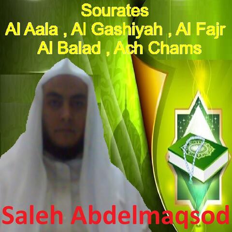 Sourates Al Aala, Al Gashiyah, Al Fajr, Al Balad, Ach Chams