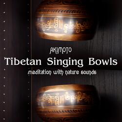 Tibetan Singing Bowls Session in the Ancient Forest