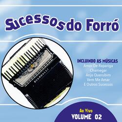 Anjo Querubim