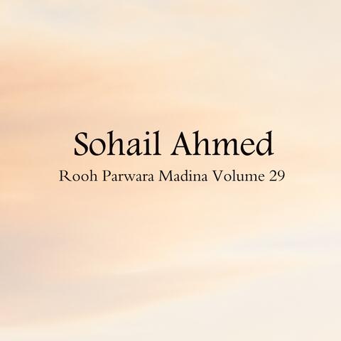 Rooh Parwara Madina, Vol. 29