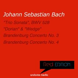 Organ Sonata No. 4 in E Minor, BWV 528 "Trio Sonata": II. Andante