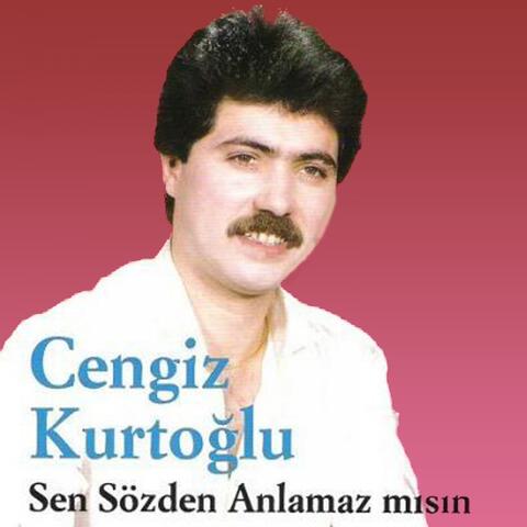 Sen Sözden Anlamaz mısın