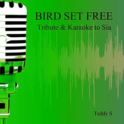 Bird Set Free