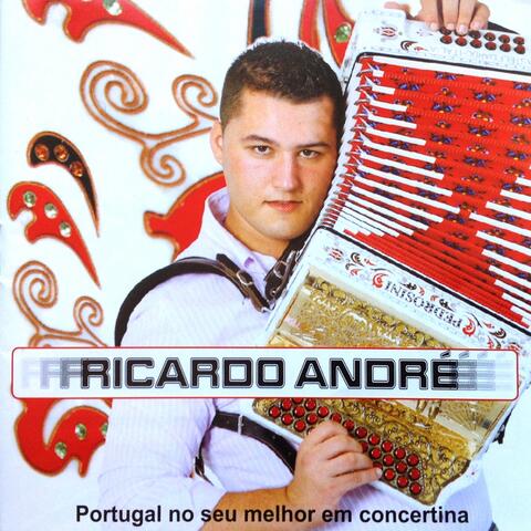 Portugal no Seu Melhor em Concertina