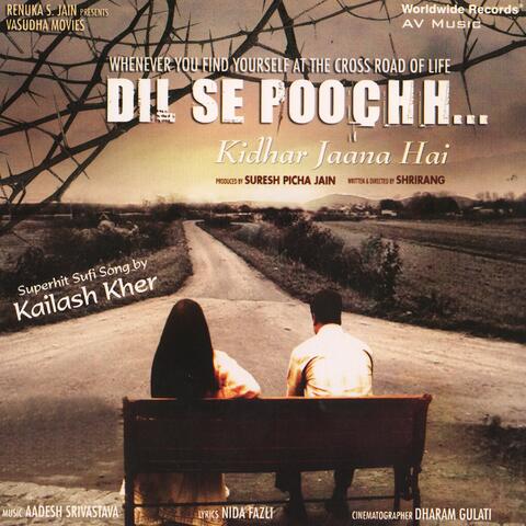 Dil Se Poochh Kidhar Jaana Hai