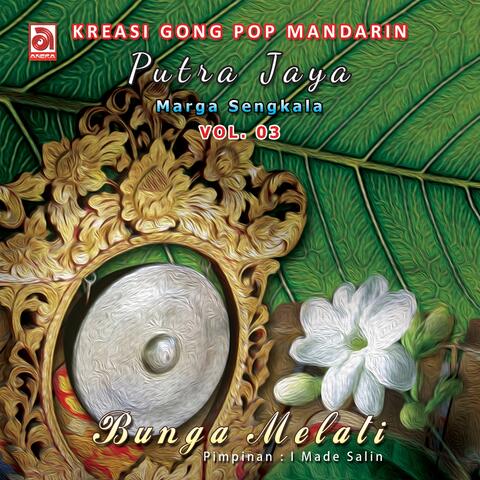 Kreasi Gong Pop Mandarin, Vol. 3