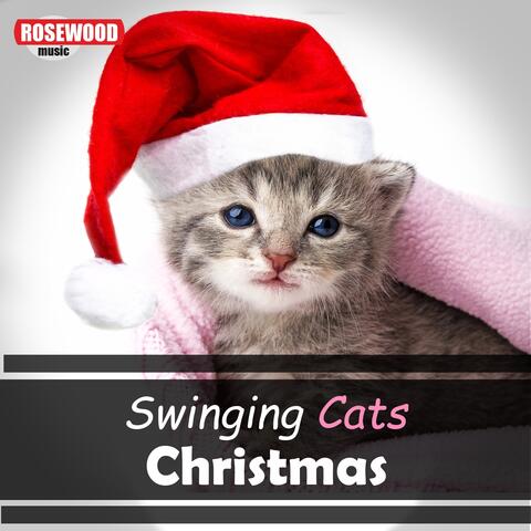 Swinging Cats Christmas