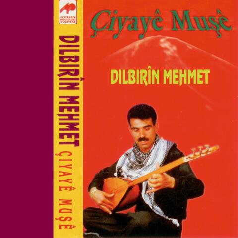 Çiyayê Muşê
