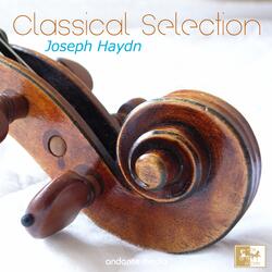 Oboe Concerto in C Major, Hob. VII:C1: II. Andante