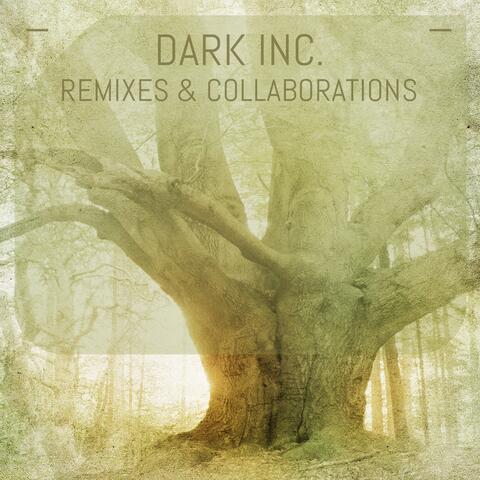 Remixes & Collaborations