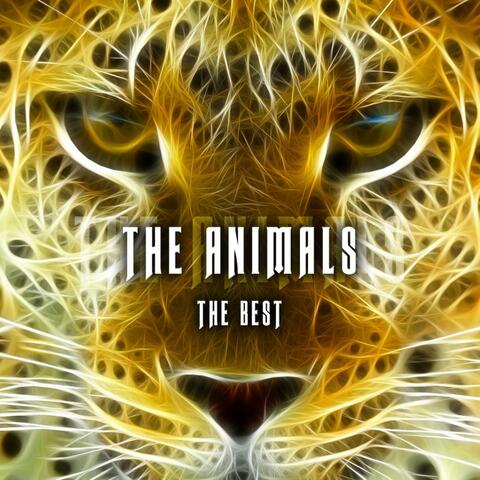 The Animals