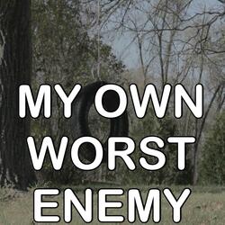 My Own Worst Enemy - Tribute to Lit