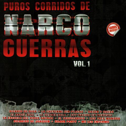 Volumen 1