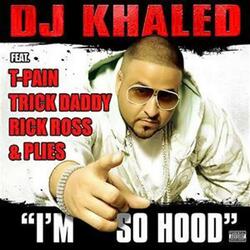 I’m So Hood (feat. T Pain, Trick Daddy & Rick Ross And Plies)