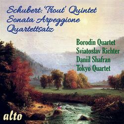 Quartettsatz in C Minor, D. 703: Allegro