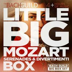 Divertimento in F Major, K. 138: III. Presto
