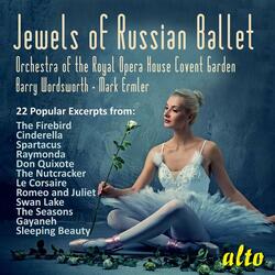 Don Quixote: Basile's Variation
