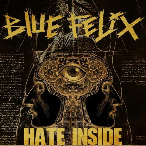 Hate Inside