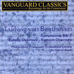 Symphony No. 6 In F Major, Op. 68, "Pastoral," III. Scherzo: Allegro