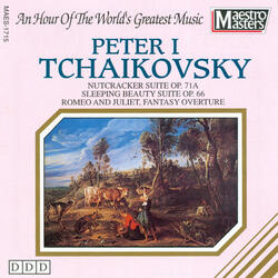 Nutcracker Suite, Op. 71A, Danse Russe Trepak (Dance of the Sugar Plum Fairy)