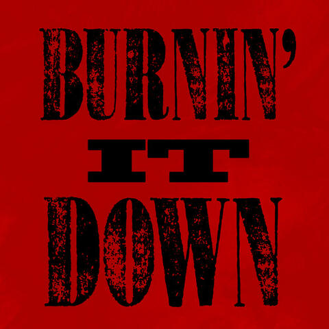 Burnin' It Down - Single