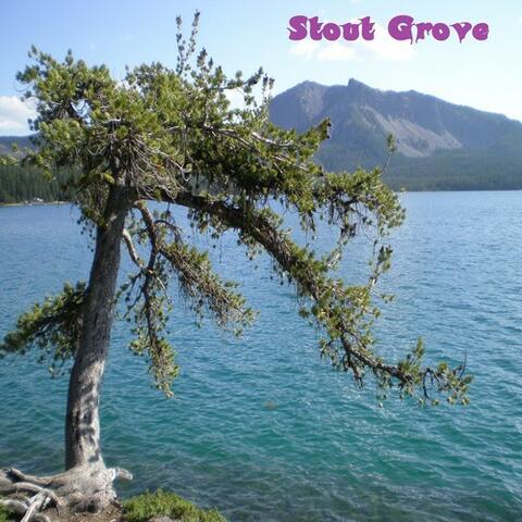 Stout Grove - Single