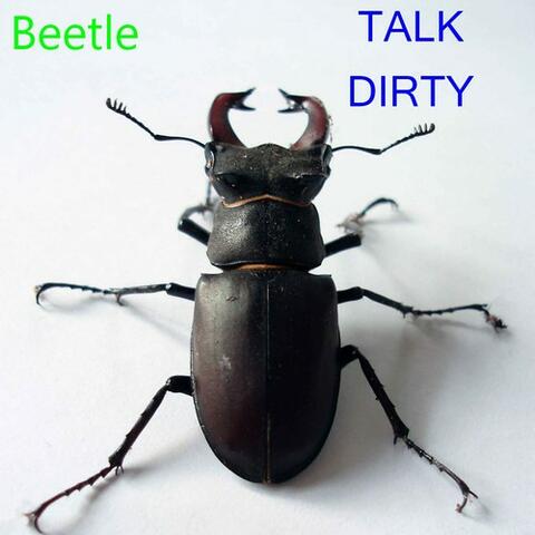 Talk Dirty - Single
