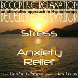 Stress and Anxiety Relief Programme