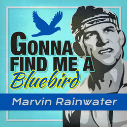 Gonna Find Me a Bluebird