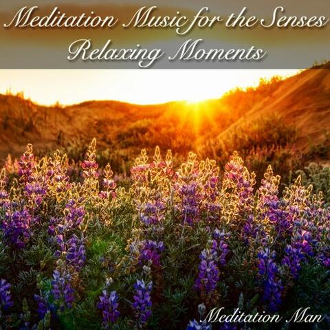 Meditation Music for the Senses Relaxing Moments