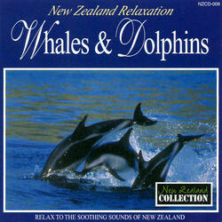Whales & Dolphins