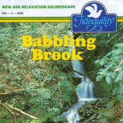Babbling Brook