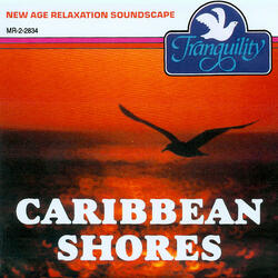 Caribbean Shores