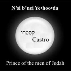 N’si B’nei Ye•hoo•da (Prince of the Men of Judah)
