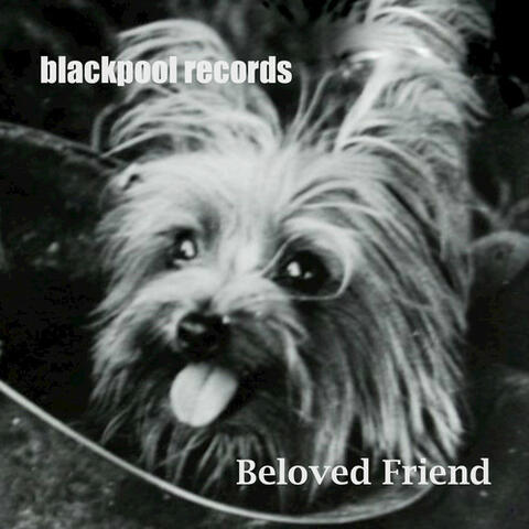 Beloved Friend - Single