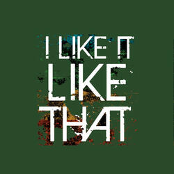 I Like It Like That
