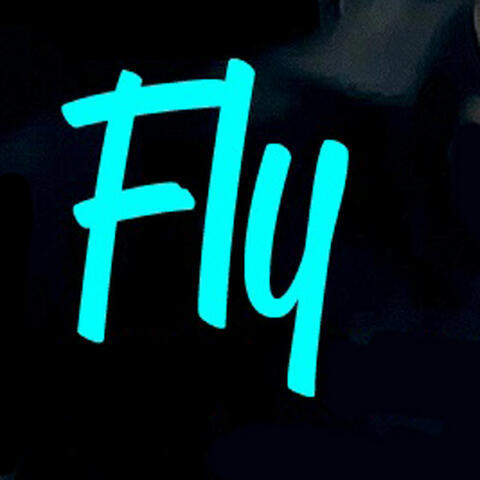 Fly - Single