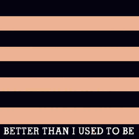 Better Than I Used to Be (I'm) - Single (Tim McGraw Tribute)