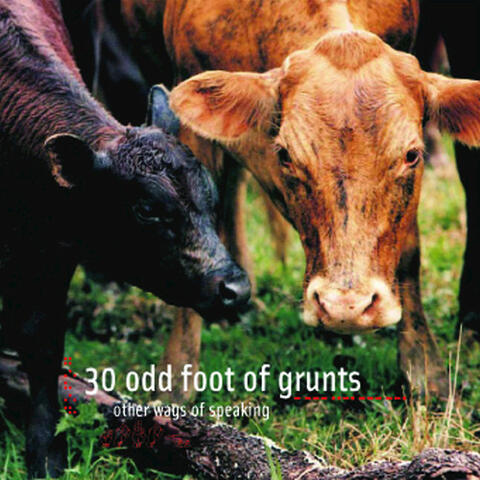 30 Odd Foot of Grunts