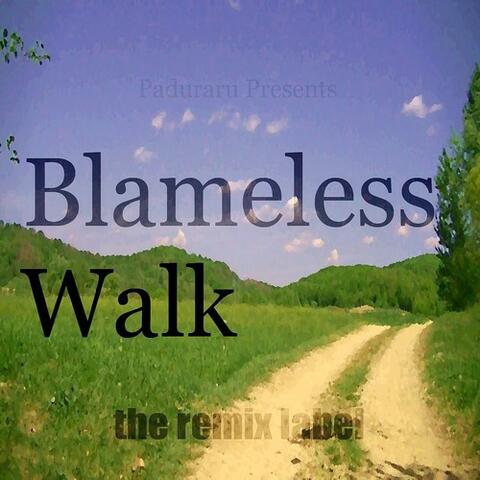 Blameless Walk (Bass Housemusic Mix) - Single
